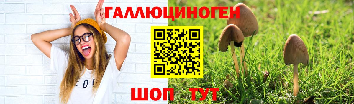 Псилоцибиновые грибы мухоморы  Вход с VPN  Мыски 